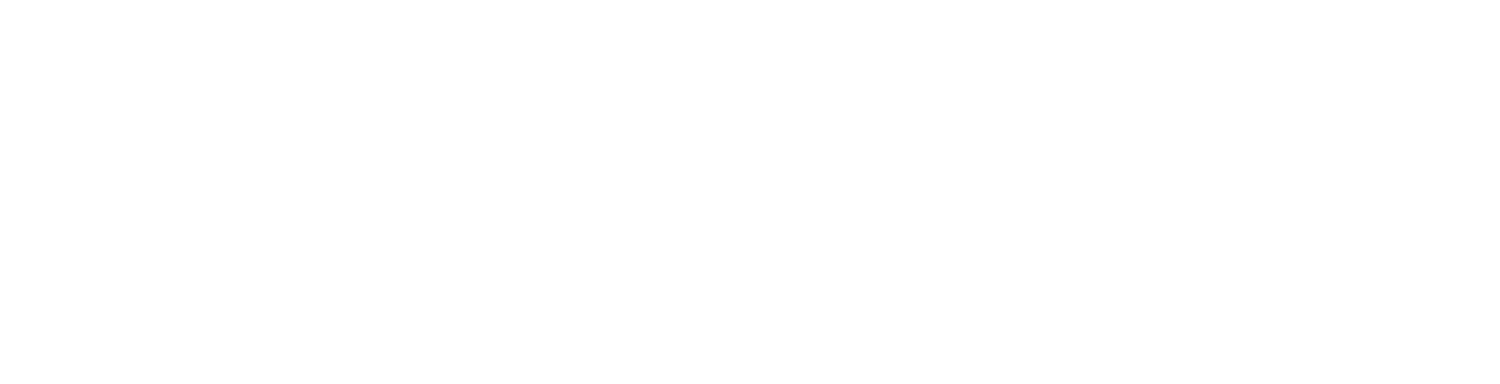 FIRM & FINANCE